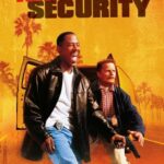 National Security 2003 hindi dubbed